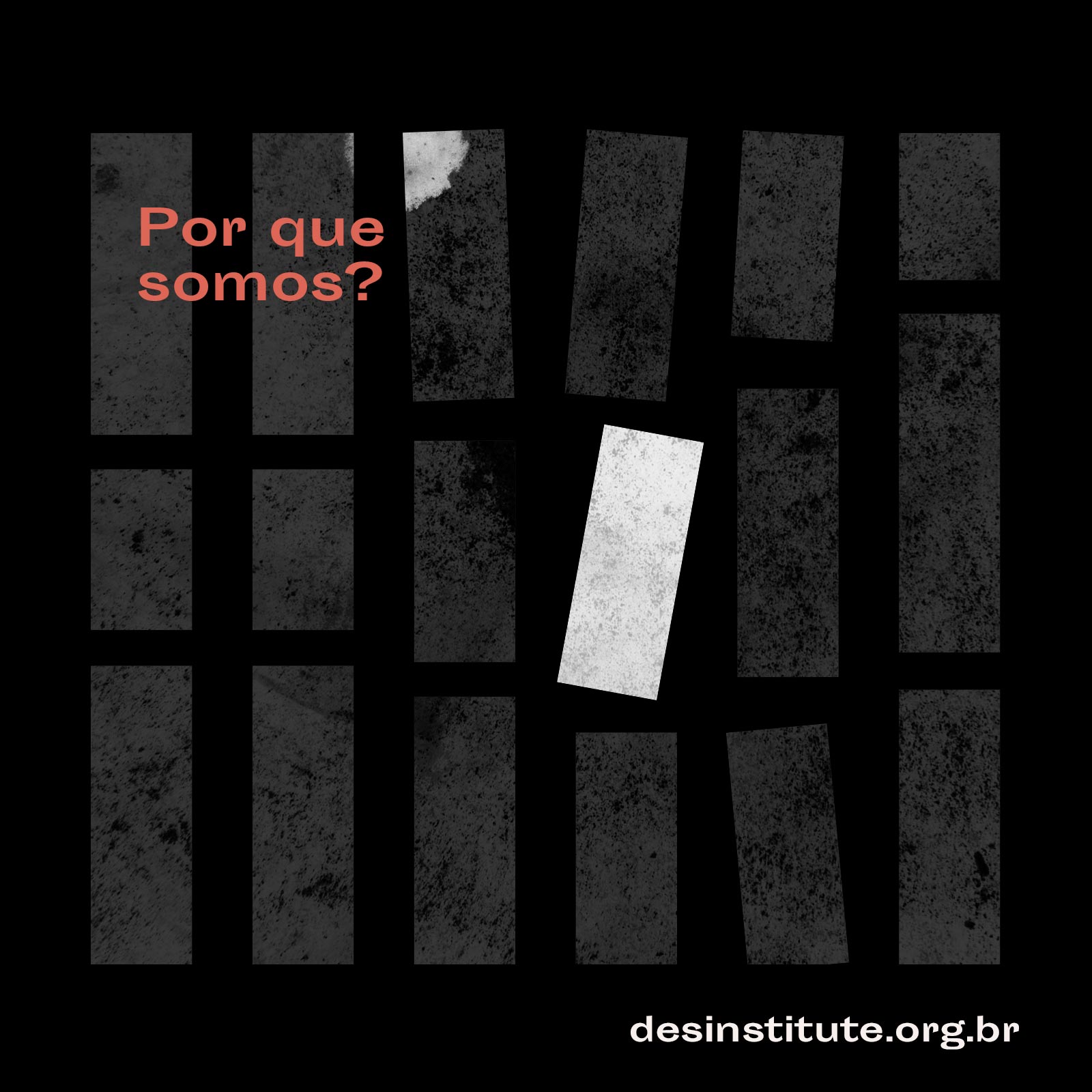 Desinstitute: Por que somos?