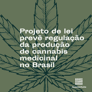 O que está em jogo com aprovação do PL que regula a produção da cannabis medicinal no Brasil?